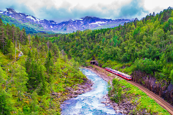 norway-bergen-to-oslo-train