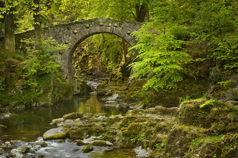 ireland-tollymore-forest-park-river-and-bridge